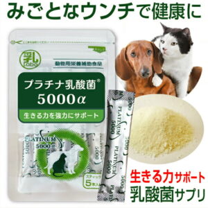 乳酸菌 ペット 健康 免活 サプリ プラチナ乳酸菌 5000α (5包入)動物用サプリメント 栄養補助食品 ペットのサプリ（乳酸菌 犬 乳酸菌 猫 乳酸菌 ペット用 犬用 猫用 ドッグ用 キャット用）
