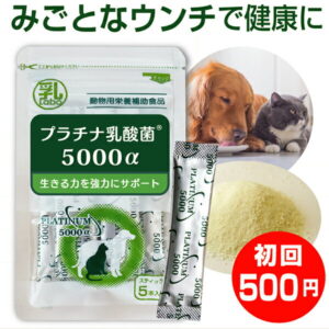 乳酸菌 ペット 犬 猫 サプリ プラチナ乳酸菌5000α(初回お試し500円 ご家族様2コまで)2コご購入で送料無料