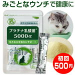 犬 猫 乳酸菌 サプリ プラチナ乳酸菌5000α（初回限定 お試し ご家族様2コまで）pet dog cat supplement2コご購入で送料無料