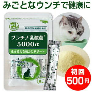 犬 猫 乳酸菌 サプリ プラチナ乳酸菌5000α（初回限定 お試し ご家族様2コまで）pet dog cat supplement2コご購入で送料無料