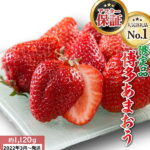 【ふるさと納税】人気No.1獲得謝礼品★限定品★博多あまおう約1，120g いちご 苺　福岡（先行受付／2022年3月以降発送） 高級 フルーツ