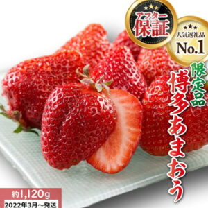【ふるさと納税】人気No.1獲得謝礼品★限定品★博多あまおう約1,120g いちご 苺 福岡(先行受付/2022年3月以降発送) 高級 フルーツ