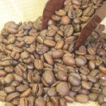 ご注文後に生豆から焙煎！6種類の焙煎方法が選べ！本物の香りをお届け♪ポピュラーなブレンド500g【RCP】