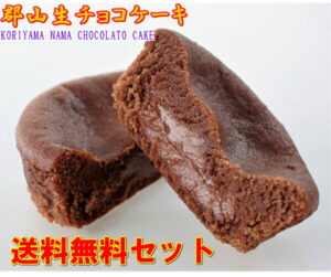 【送料無料セット】生チョコケーキ 6個/ バラ入れ ホワイトデー バレンタイン お試しセット 郡山名物 お菓子 菓子 スイーツ 高級 生チョコ ショコラ ガナッシュ チョコレート チョコレートケーキ 人気 おすすめ 1000円ポッキリ 買い回り ポイント消化 ふくしまプライド