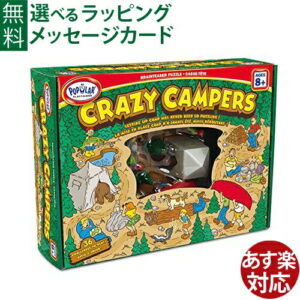 知育玩具 STEAM 3Dパズル BorneLund(ボーネルンド )ポピュラープレイシングス クレイジー・キャンプ・パズル おうち時間 入学 入園 子供