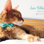 【送料無料】 necono 猫 首輪 『 Luce Ribbon 』 ルーチェリボン 子猫 おしゃれ リボン 安全 10-30cm サイズ調整 軽量 赤 全10色 日本製 猫用品 ペット用品