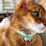 【送料無料】 necono 猫 首輪 『 Luce Bell 』 ルーチェ ベル 10-30cm サイズ調整 安全 鈴 軽量 日本製 赤 シルバー 猫用品 ペット用品