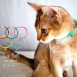 【送料無料】 necono 猫の首輪 『 Luce Bell 』 ルーチェ ベル レディバード 子猫 10-30cm サイズ調整 安全 鈴 軽量 日本製 赤 ピンク シルバー てんとう虫 猫用品