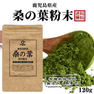 鹿児島県産 桑の葉粉末 青汁 お得な120g 100%桑茶パウダー 【完全無添加・低温粉砕製法】品質本位・ダイエット/糖質ケア/国産