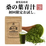 桑の葉茶 粉末 青汁 お得な120g 国産 鹿児島県産 100%桑茶パウダー 初回お試し【完全無添加・低温粉砕製法】品質本位・ダイエット/糖質ケア/マラソン/ポッキリ