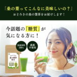桑の葉茶 粉末 100g 桑茶 桑の葉 くわのは くわ茶 お茶 国産 パウダー 青汁 糖質 血糖値 体脂肪 コレステロール ノンカフェイン 農薬不使用 健康茶 健康飲料【メール便】 | お中元 御中元 おちゃ 内祝い 日本茶 桑 健康ドリンク 粉末茶 1000円ポッキリ 送料無料